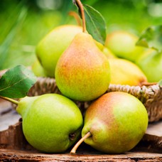 Einheimische Birne 1 kg