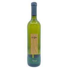 Malvazija istarska 2023 In Sylvis 0,75 l