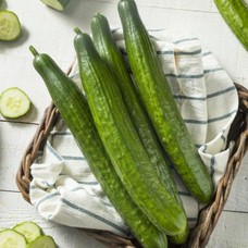 Salad cucumber 250 g