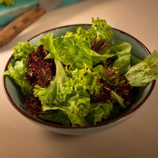 Fresh lettuce salad for 1 person (100 g)