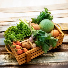 Vegetable basket