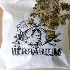 Hausgemachter Thymian-Tee 12 g