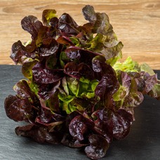 Salata lollo rosso za 2 osobe 300 g - oprana i spremna za jelo