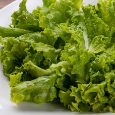 Green lettuce for 2 persons 200 g