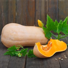 Tikva Butternut 1 kom