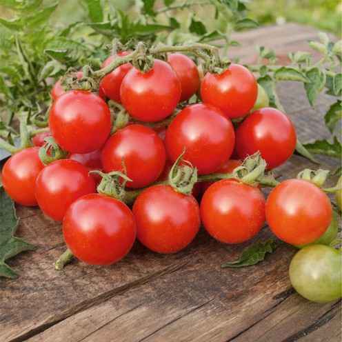 Cherry rajčica 500 g
