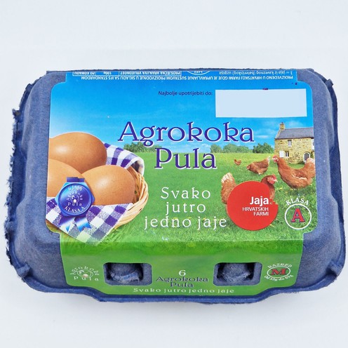Eier A Klasse 6/1