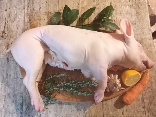 Suckling Pig (ca. 6 kg)