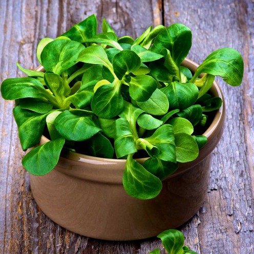 Lamb's lettuce 200 g