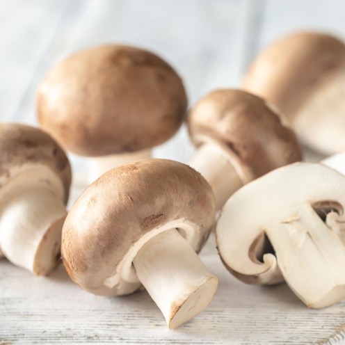Brauner Champignon 500 g