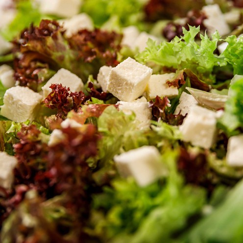 Fresh lettuce salad with curd for 2 persons (400 g)