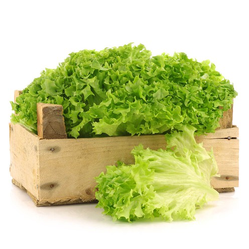 Lollo Biondo lettuce for 2 persons (300 g)