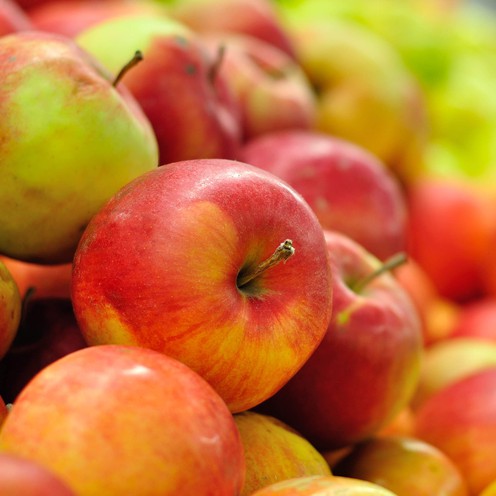 Äpfel Idared 1 kg