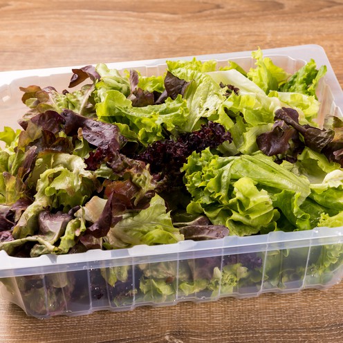 Frischer Salat für 4 Personen (600 g)